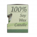 Eucalyptus Soy Candle 190g